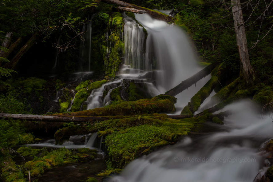 Lush Moss Water Falls